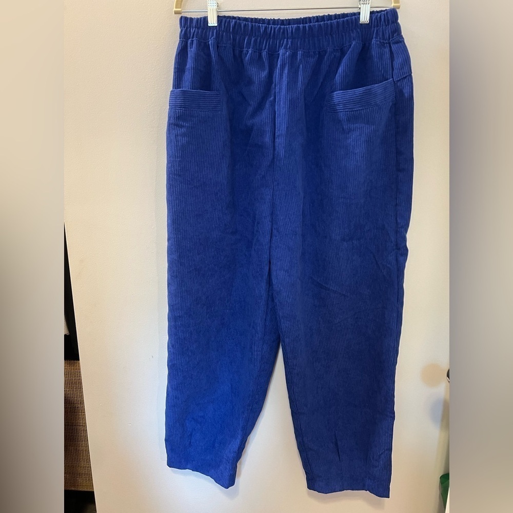 NWOT Zenana Bright Blue Corduroy Pants